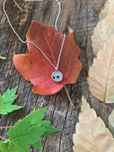Load image into Gallery viewer, Black Walnut
